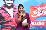 Jenda Pai Kapiraju Audio Launch 03 - 217 of 264