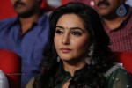 Jenda Pai Kapiraju Audio Launch 03 - 252 of 264