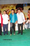 Jhummandi Naadam Movie Audio Launch - 71 of 263