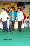 Jhummandi Naadam Movie Audio Launch - 190 of 263