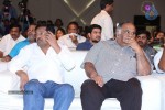 Joru Movie Audio Launch 01  - 66 of 78