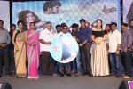 Joru Movie Audio Launch 03 - 32 of 216
