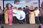 Joru Movie Audio Launch 03 - 11 of 216