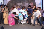 Joru Movie Audio Launch 03 - 205 of 216