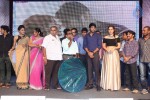 Joru Movie Audio Launch 03 - 41 of 216