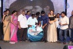 Joru Movie Audio Launch 03 - 29 of 216