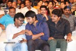 Joru Movie Audio Launch 03 - 49 of 216