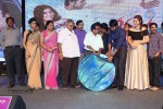 Joru Movie Audio Launch 03 - 64 of 216