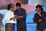 Joru Movie Audio Launch 03 - 83 of 216