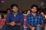 Joru Movie Audio Launch 03 - 95 of 216