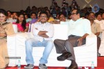 Joru Movie Audio Launch 03 - 151 of 216