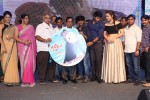 Joru Movie Audio Launch 03 - 168 of 216