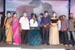 Joru Movie Audio Launch 03 - 201 of 216