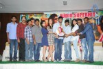 Joru Movie Platinum Disc Function  - 48 of 95