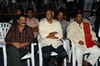  Joy Audio Launch - 1 of 17