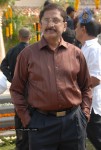 Jr NTR - Shakti Movie Opening - 8 of 144
