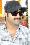 Jr NTR New Movie Opening - 22 of 150