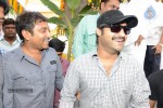 Jr NTR New Movie Opening - 56 of 150