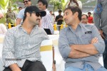 Jr NTR New Movie Opening - 90 of 150