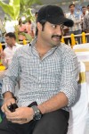 Jr NTR New Movie Opening - 100 of 150
