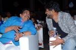 Jyothi Lakshmi Audio Launch 01 - 31 of 78