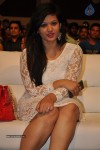 Jyothi Lakshmi Audio Launch 02 - 54 of 51
