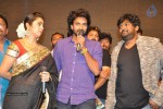 Jyothi Lakshmi Audio Launch 02 - 27 of 51