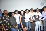 Kaattu Puli Tamil Movie Audio Launch - 18 of 45