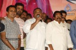 Kakatiyudu Movie Audio Launch - 73 of 64