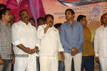 Kakatiyudu Movie Audio Launch - 13 of 64