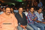 Kalyan Ram Kathi Movie Audio Success Meet - 227 of 304