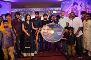 Kalyana Vaibhogame Audio Launch 3 - 8 of 63