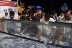 Kamna Jethmalani at TMC 1 Kg Gold Bumper Draw - 129 of 146