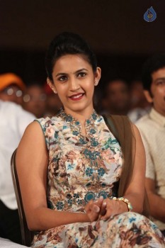 Kanche Audio Launch 2 - 24 of 31