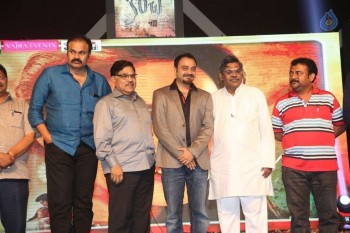 Kanche Audio Launch photos - 23 of 46