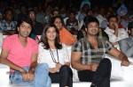 Karthikeya Audio Launch 02 - 14 of 71