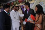 Kasi Viswanadam Son Marriage Reception Photos - 6 of 35