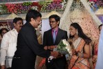 Kasi Viswanadam Son Marriage Reception Photos - 10 of 35