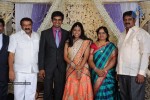 Kasi Viswanadam Son Marriage Reception Photos - 11 of 35