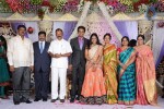 Kasi Viswanadam Son Marriage Reception Photos - 13 of 35