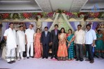 Kasi Viswanadam Son Marriage Reception Photos - 19 of 35