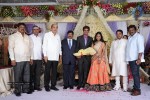 Kasi Viswanadam Son Marriage Reception Photos - 21 of 35