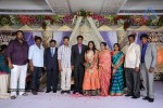 Kasi Viswanadam Son Marriage Reception Photos - 31 of 35