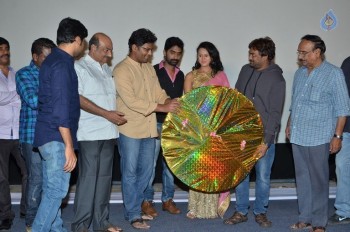 Kathanam Audio Launch - 8 of 27