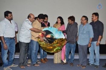 Kathanam Audio Launch - 17 of 27