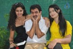 Katrina Karina Madhyalo Kamal Haasan Movie Opening - 20 of 27