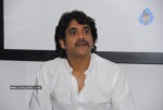 Kedi Movie Press Meet - 1 of 50