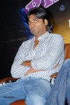 Kedi Movie Titel Announcement  - 32 of 67