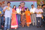 Kevvu Keka Movie Audio Launch - 109 of 289