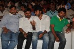 Kevvu Keka Movie Audio Launch - 126 of 289